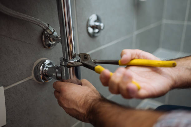 Best Sprinkler Systems  in Bridgeport, AL